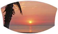 DNSWILL 127 Sunset Footprints